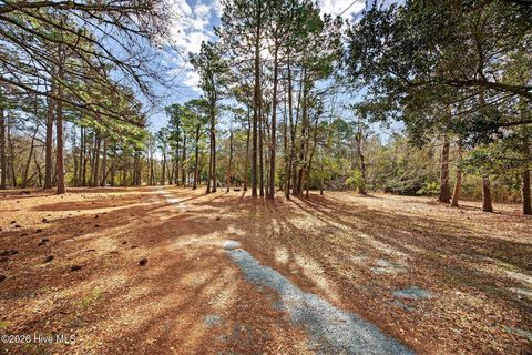 Tiny photo for 413421 Buds Lane, Hampstead, NC 28443 (MLS # 100551489)