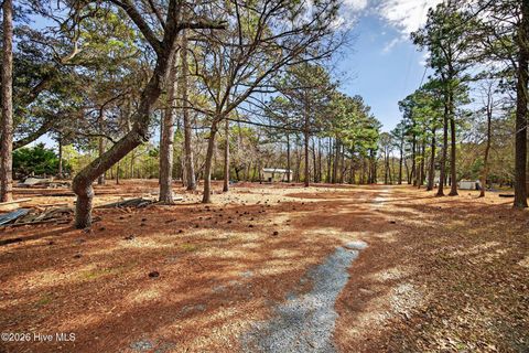 Tiny photo for 413421 Buds Lane, Hampstead, NC 28443 (MLS # 100551489)