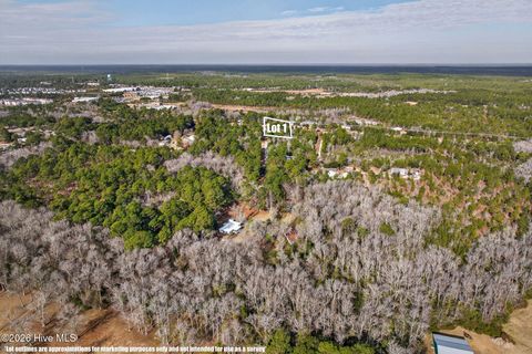 Tiny photo for 413421 Buds Lane, Hampstead, NC 28443 (MLS # 100551489)