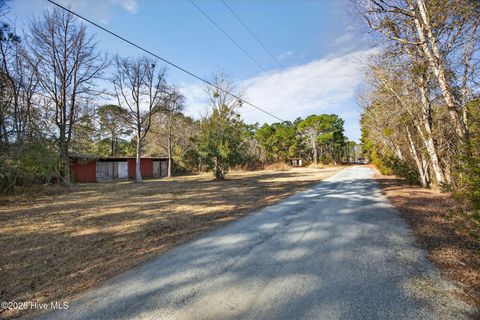 Tiny photo for 413421 Buds Lane, Hampstead, NC 28443 (MLS # 100551489)