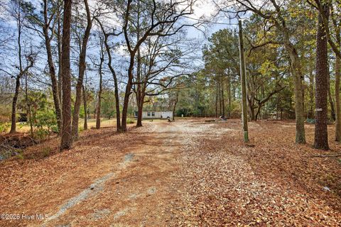 Tiny photo for 413421 Buds Lane, Hampstead, NC 28443 (MLS # 100551489)
