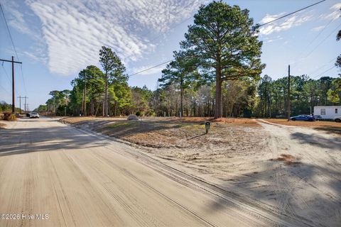 Tiny photo for 413421 Buds Lane, Hampstead, NC 28443 (MLS # 100551489)