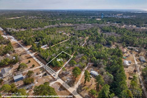 Tiny photo for 413421 Buds Lane, Hampstead, NC 28443 (MLS # 100551489)