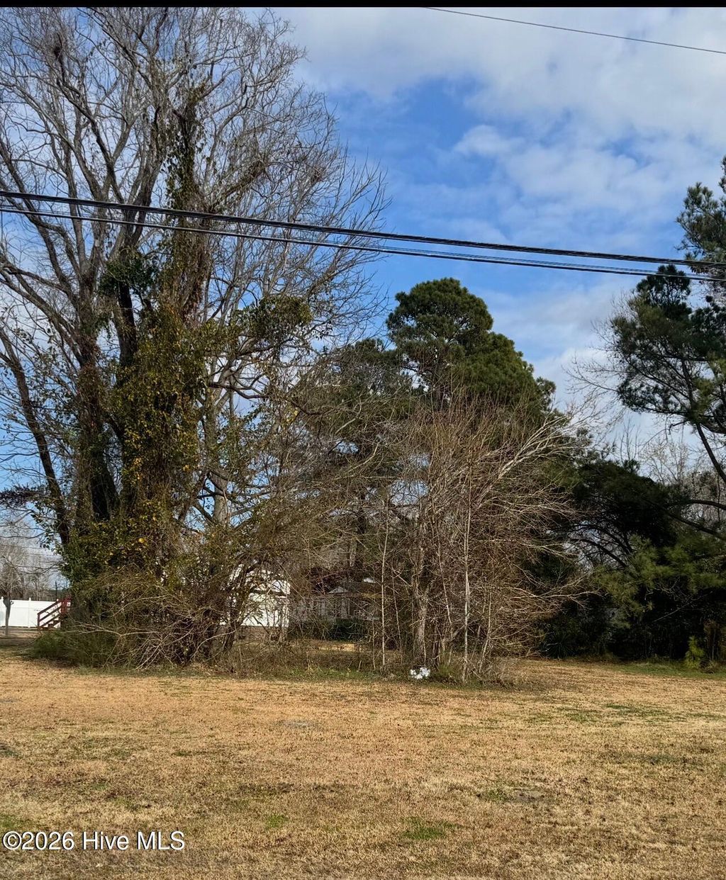 Photo of 372 W Pantego Street, Belhaven, NC 27810 (MLS # 100548773)