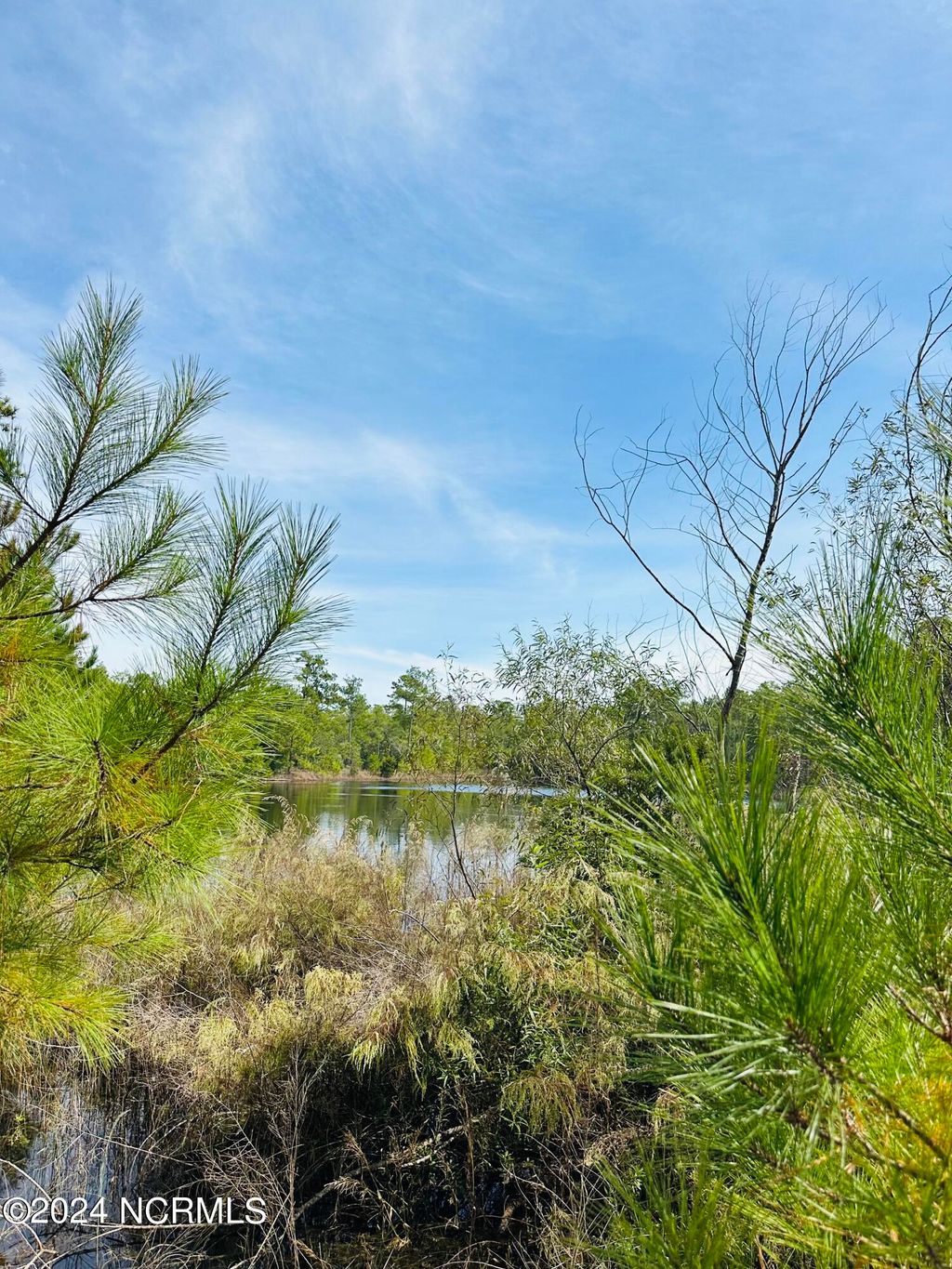 Photo of 1522 St Vincent Drive SW, Shallotte, NC 28470 (MLS # 100470200)