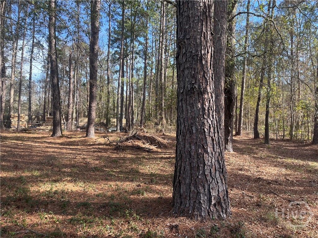 Photo of 157 John Carter Road, Bloomingdale, GA 31302 (MLS # SA347978)