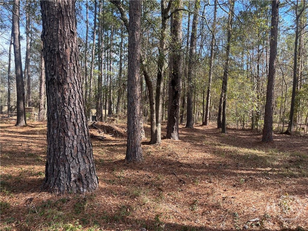 Photo of 157 John Carter Road, Bloomingdale, GA 31302 (MLS # SA347978)