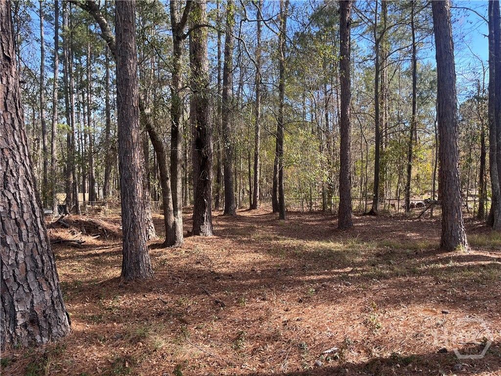 Photo of 157 John Carter Road, Bloomingdale, GA 31302 (MLS # SA347978)