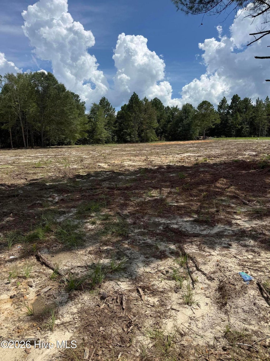 Photo of 107051 Hancock Landing Road, Waynesboro, GA 30830 (MLS # 100613214)