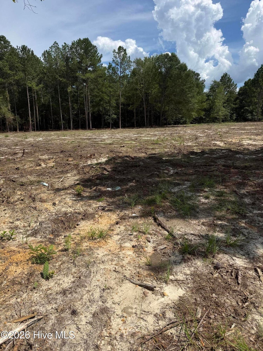 Photo of 107051 Hancock Landing Road, Waynesboro, GA 30830 (MLS # 100613214)