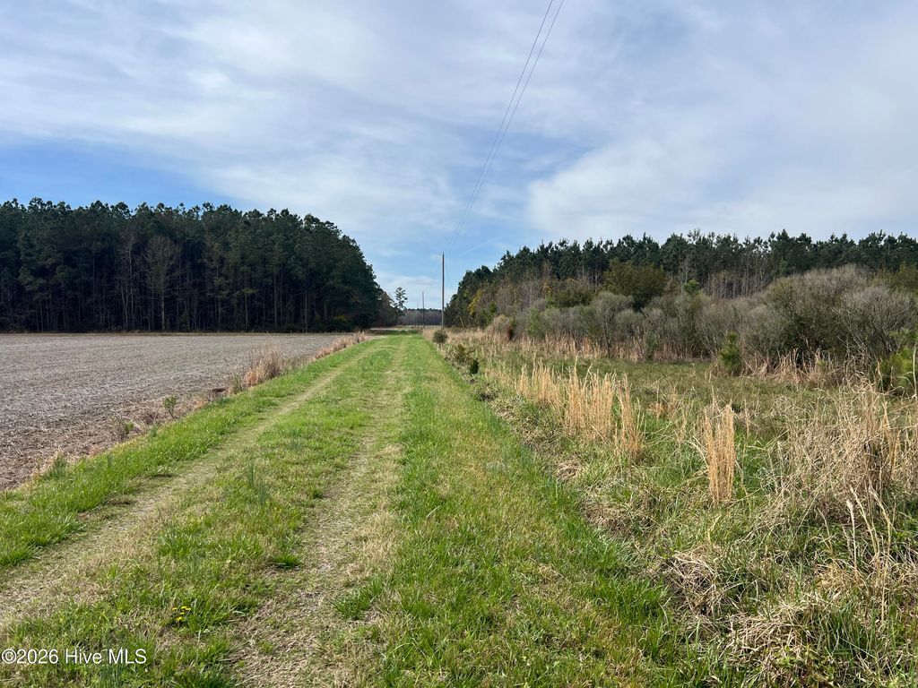 Photo of 0 Flynn Avenue, Belhaven, NC 27810 (MLS # 100567315)