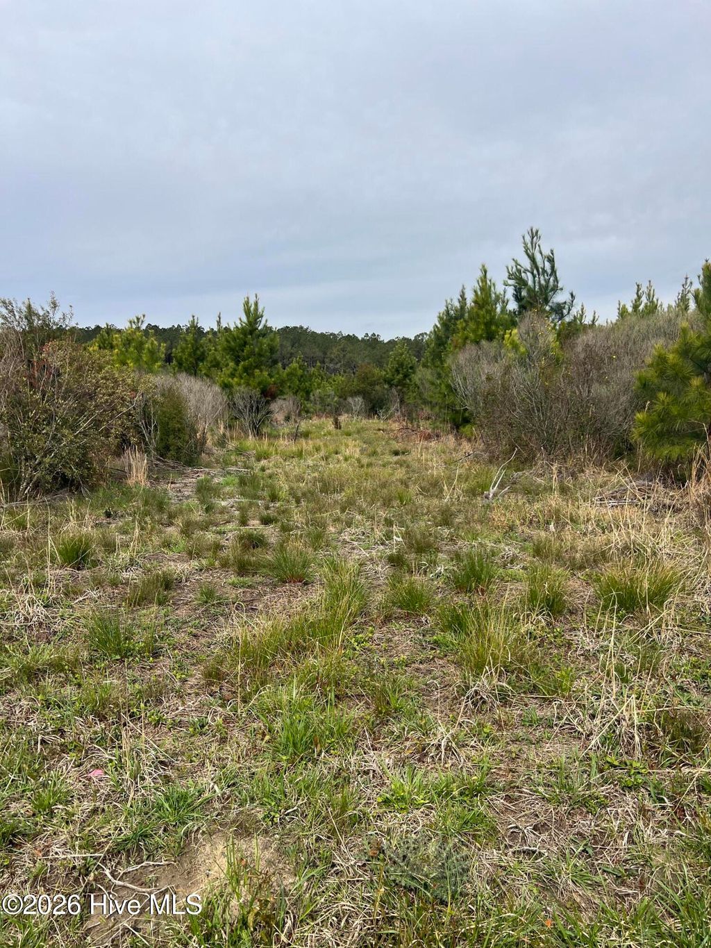 Photo of 0 Flynn Avenue, Belhaven, NC 27810 (MLS # 100567315)