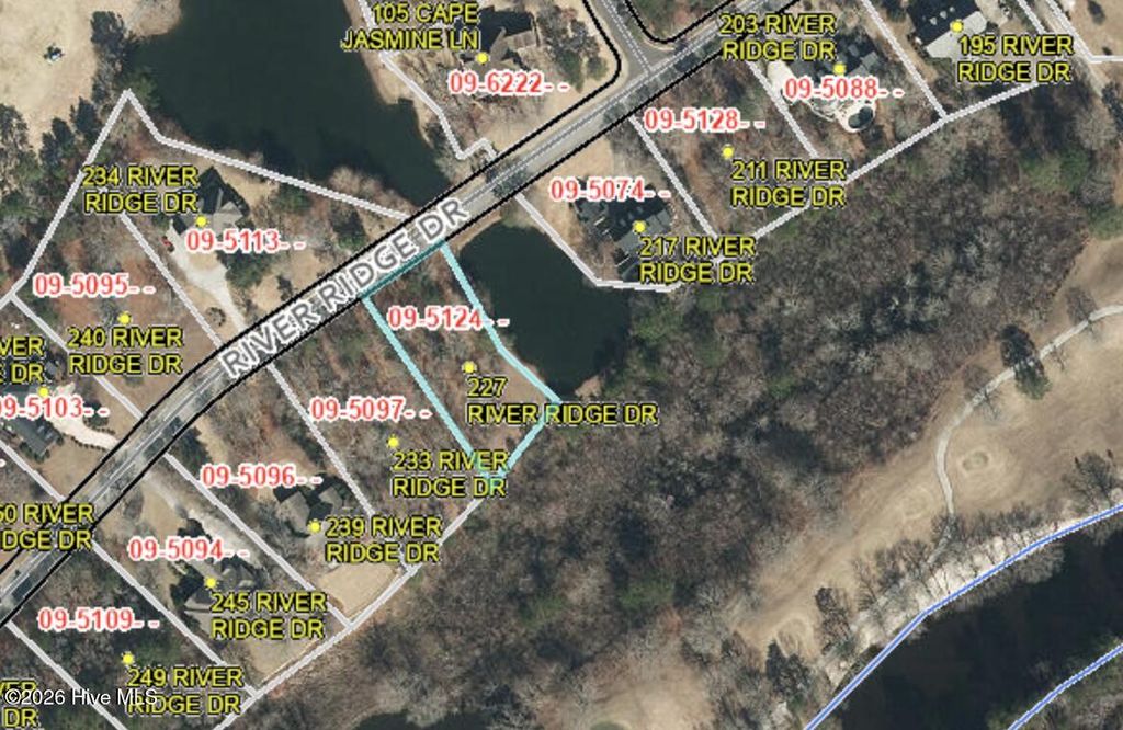 Photo of 227 River Ridge Drive, Wallace, NC 28466 (MLS # 100568915)