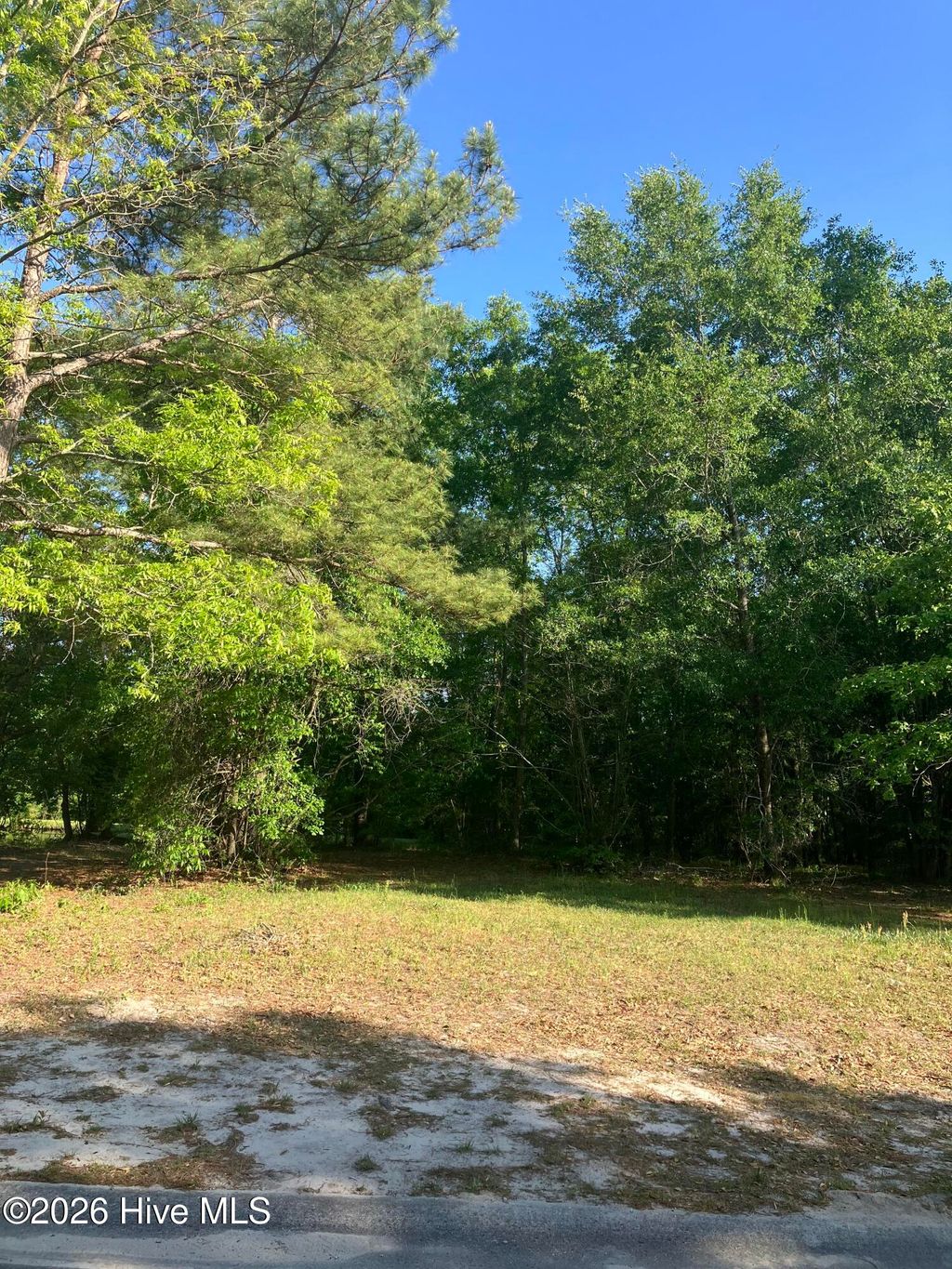 Photo of 227 River Ridge Drive, Wallace, NC 28466 (MLS # 100568915)