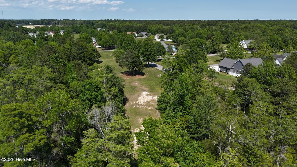 Photo of 176 Shenandoah River Drive, Hertford, NC 27944 (MLS # 100573422)