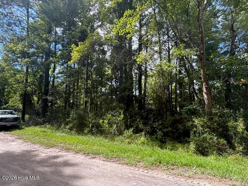 Photo of 190 Cedar Creek Road, Newport, NC 28570 (MLS # 100606657)