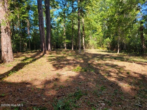 Vacant Land For Sale - 190 Cedar Creek Road<br/> Newport, NC 28570