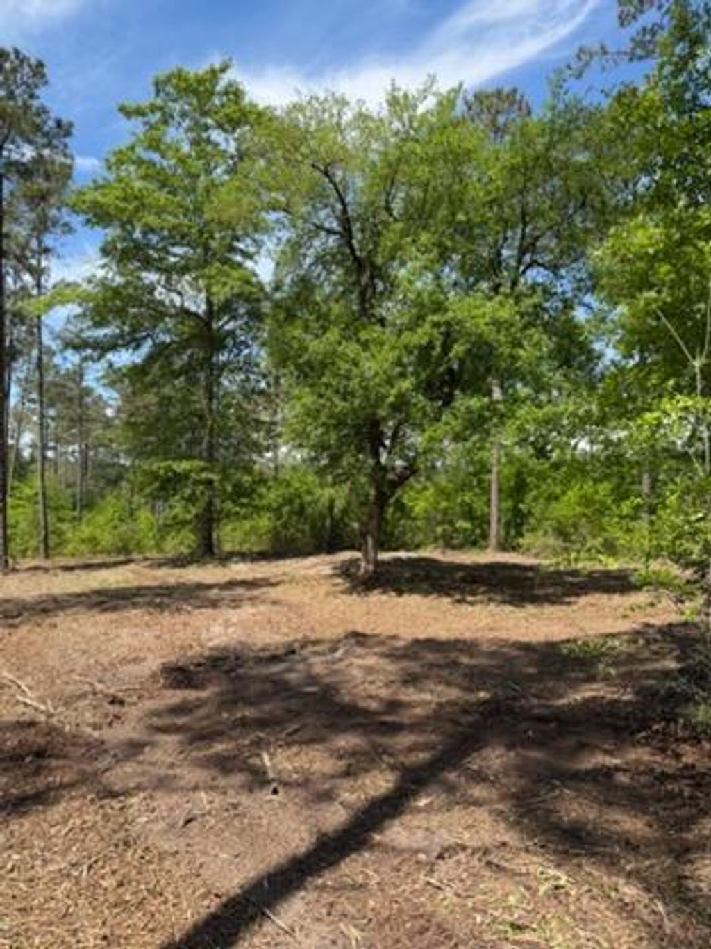 Photo of Tbd Old Barnwell Road, Aiken, SC 29803 (MLS # 555523)