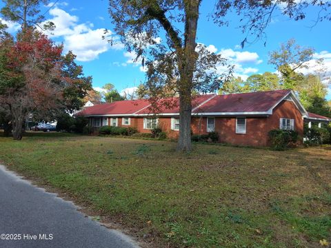 Homes For Sale - 33 Gapway Road<br/> Fair Bluff, NC 28439