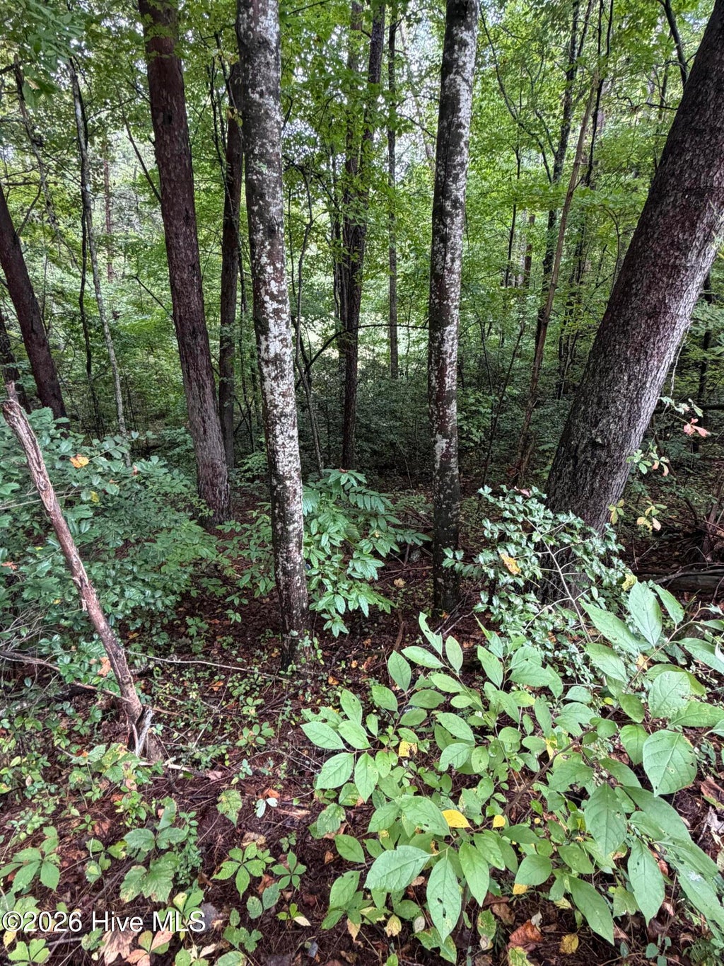 Photo of 0 Little Wolfcreek Road, Murphy, NC 28906 (MLS # 100605763)