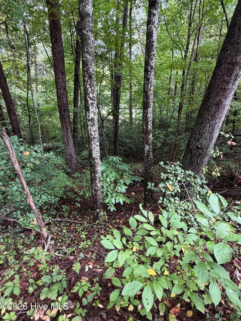 Vacant Land For Sale - Little Wolfcreek Road<br/> Murphy, NC 28906