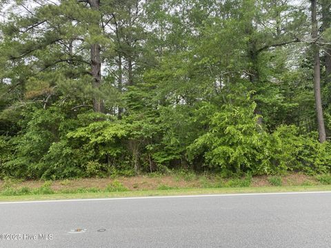 Vacant Land For Sale - Sr 1124 Road<br/> Chocowinity, NC 27817