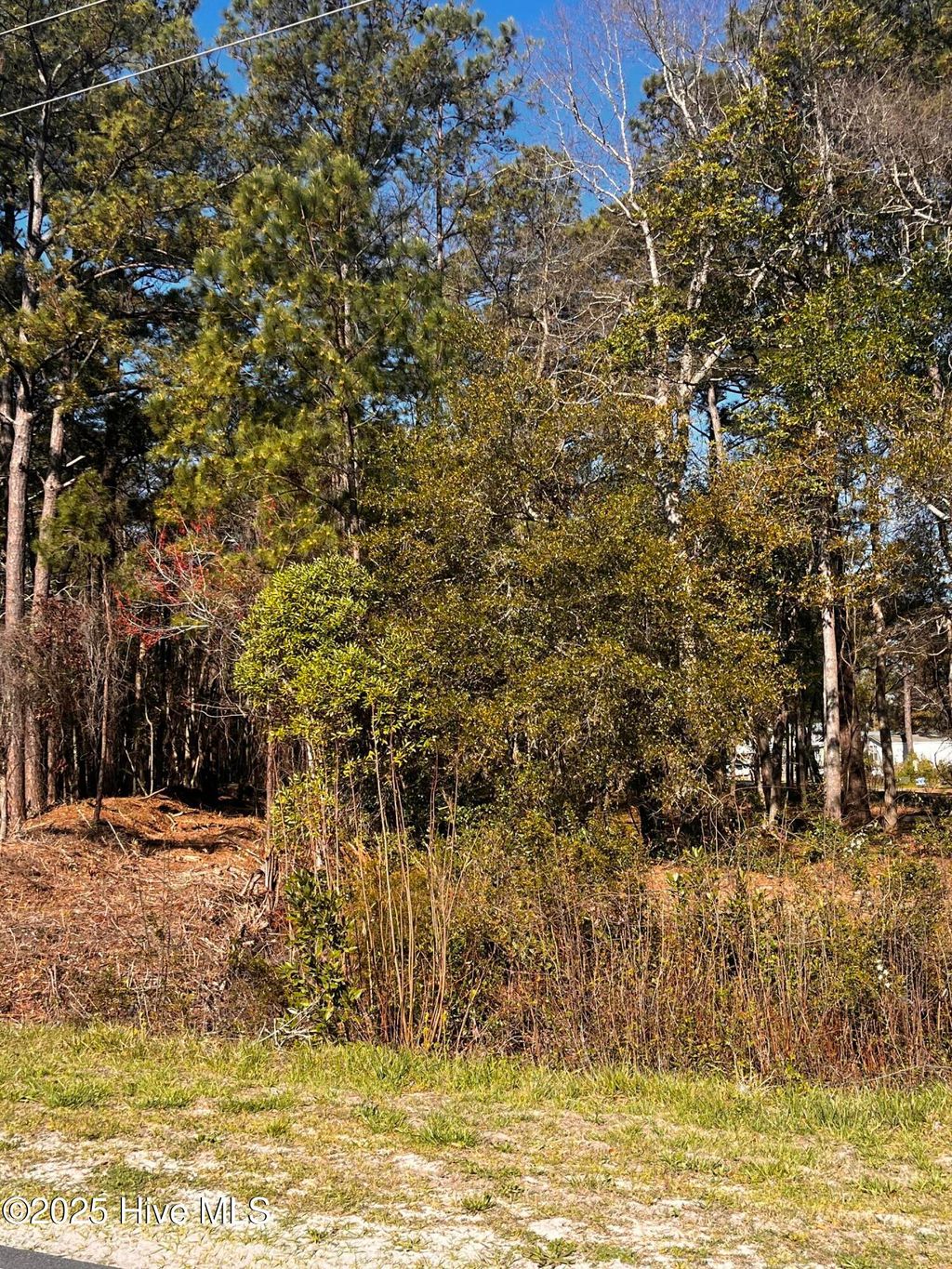 Photo of 3723 Sunset Harbor Road SE, Bolivia, NC 28422 (MLS # 100545462)