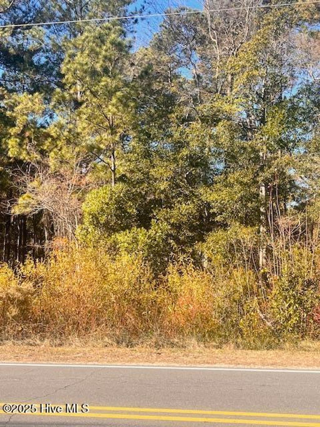 Photo of 3723 Sunset Harbor Road SE, Bolivia, NC 28422 (MLS # 100545462)