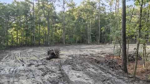 Tiny photo for 0 Us Hwy 117 N #Lot 2, Willard, NC 28478 (MLS # 100604752)