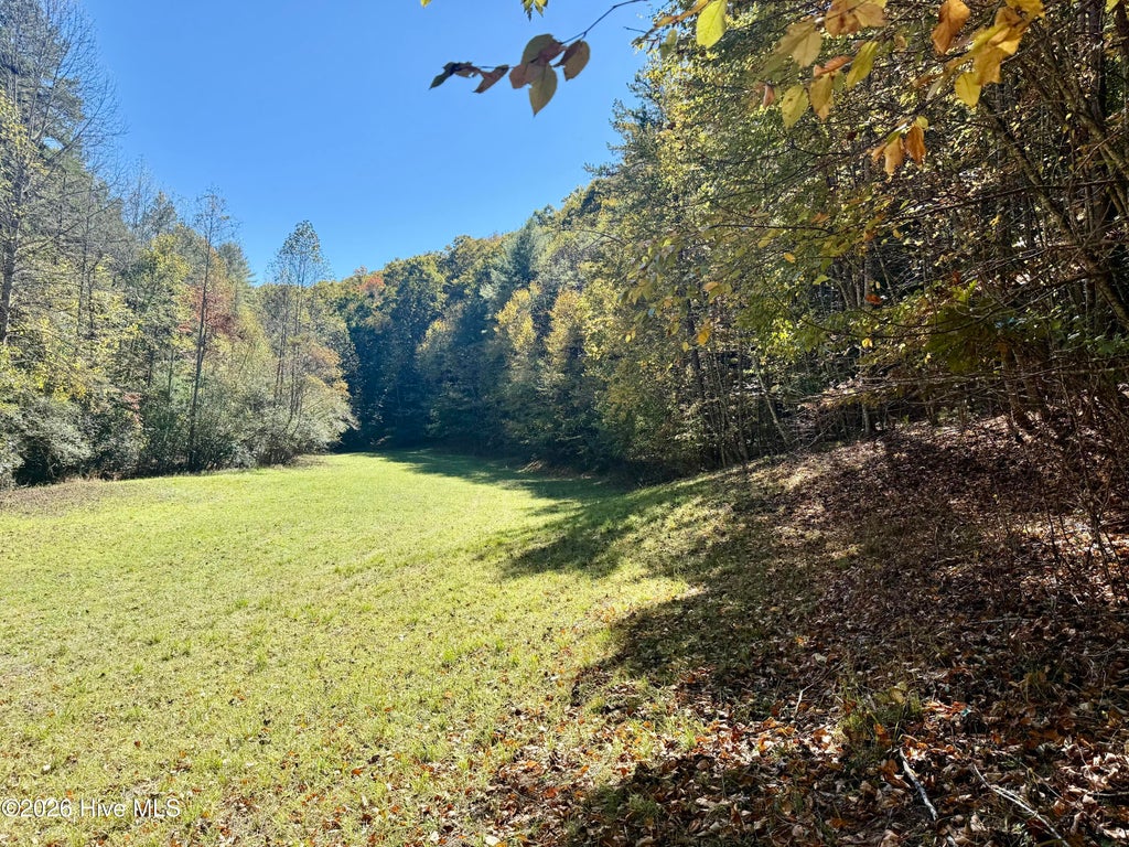 Photo of 148 Charlie Lane, Murphy, NC 28906 (MLS # 100613528)