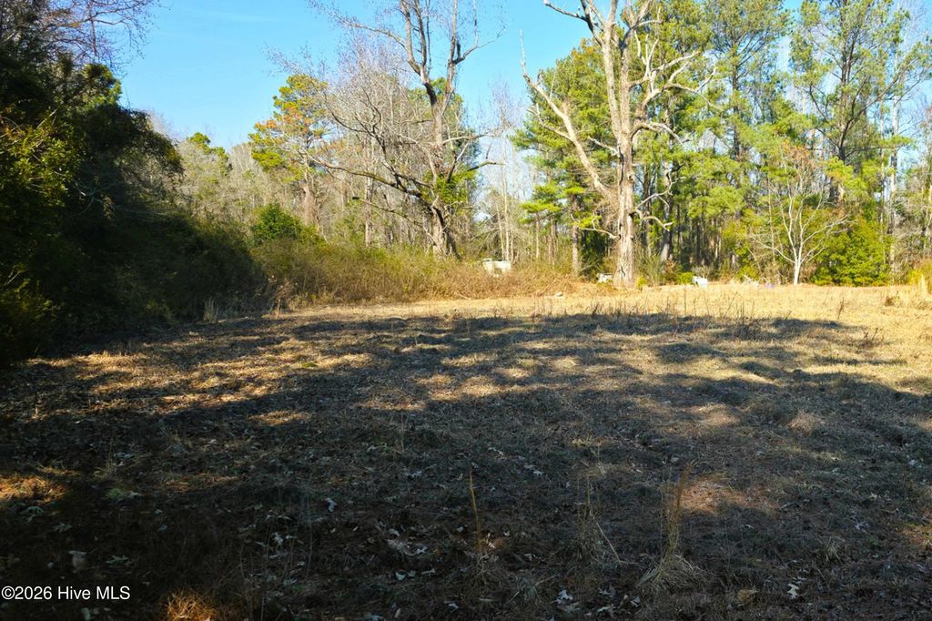 Photo of 1789 Mille Christine Road, Whiteville, NC 28472 (MLS # 100560659)