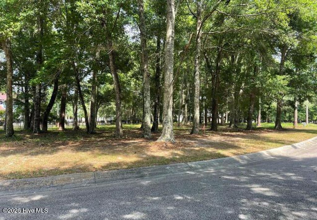 Photo of 1254 Harbour Gate South SW, Calabash, NC 28467 (MLS # 100553225)
