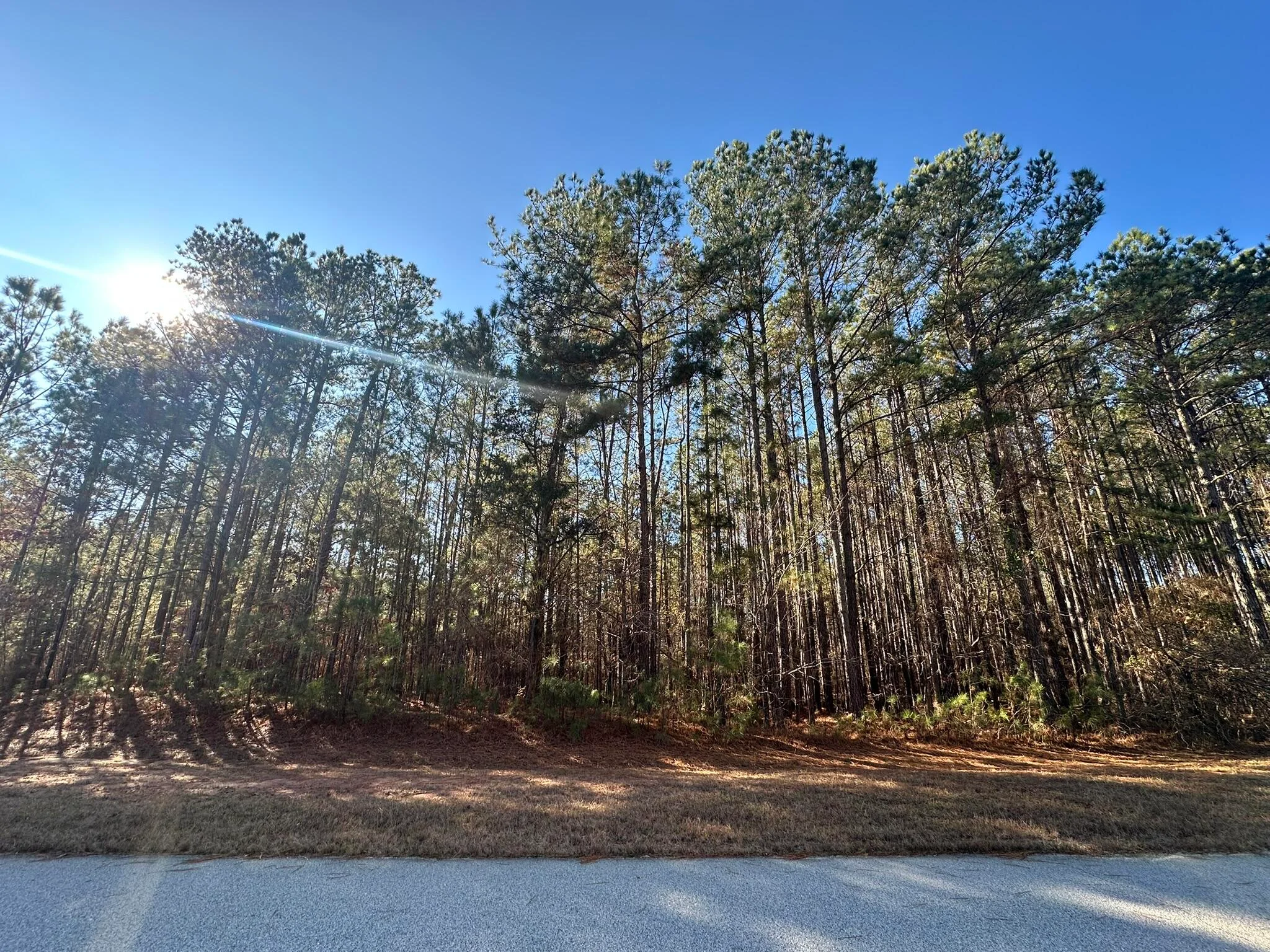 1252 Rogers Road