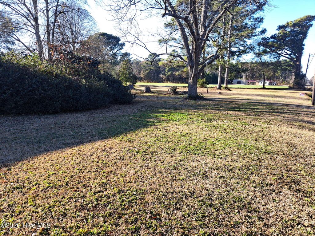 Photo of 9701 Penderlea Highway, Willard, NC 28478 (MLS # 100547946)