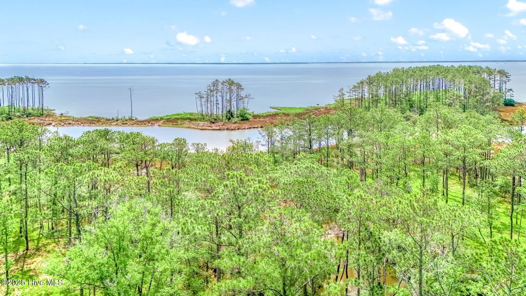 Photo of 175 River Watch Road, Oriental, NC 28571 (MLS # 100437178)