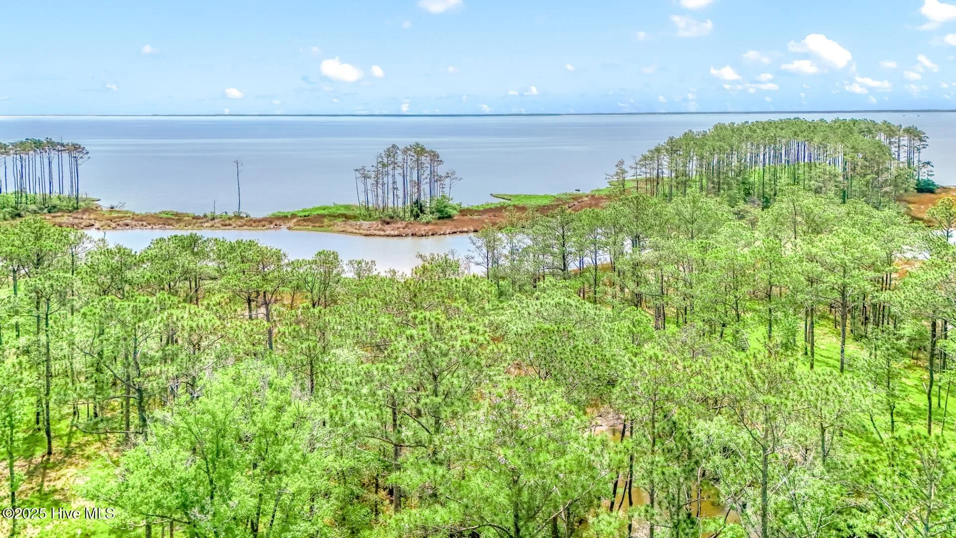 175 River Watch Road