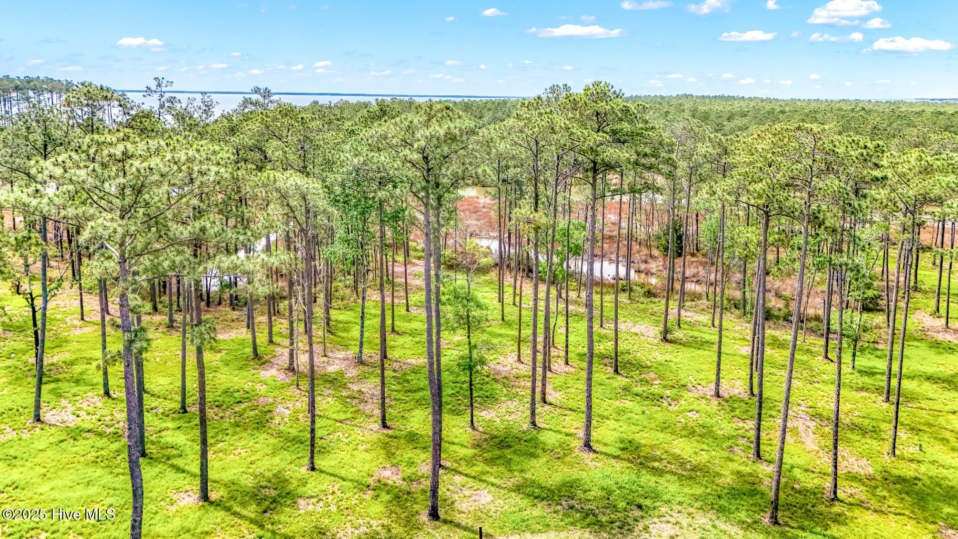 175 14 River Watch Road