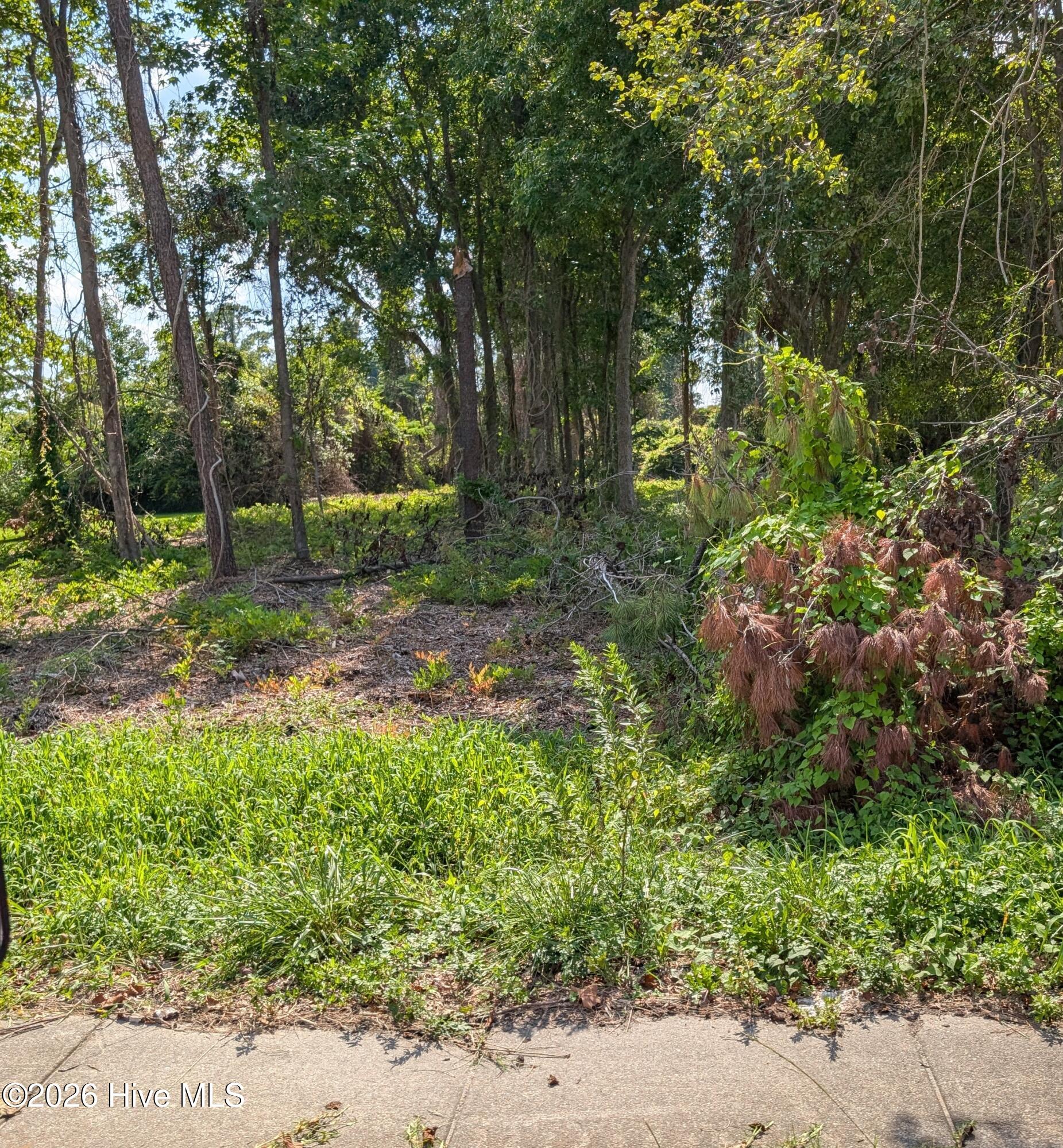 852 Bell Fork Road, Jacksonville, NC, 28540