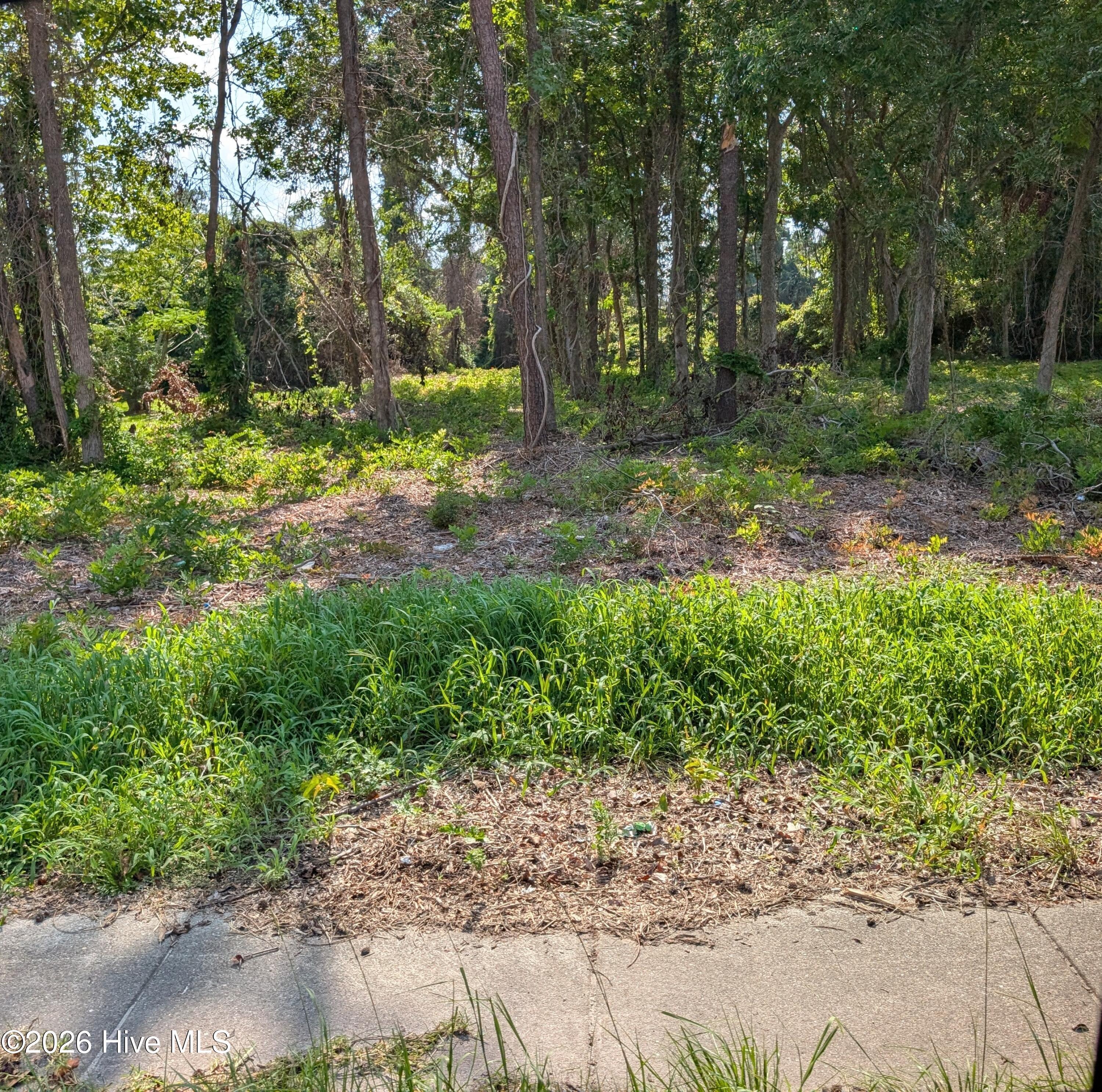 852 Bell Fork Road