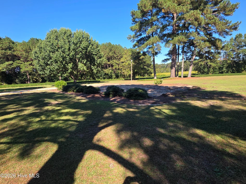 Photo of 3018 Grimsley Farm Road, Bladenboro, NC 28320 (MLS # 100609586)