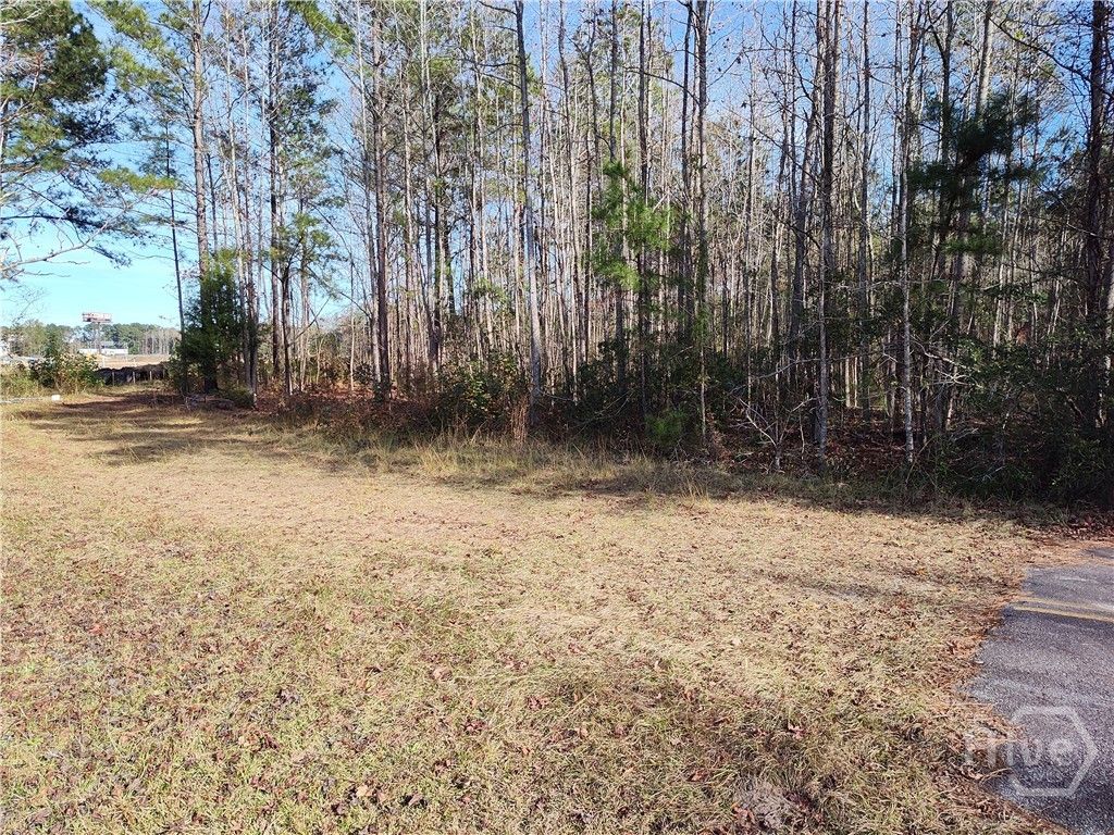 Photo of 620 Morgan Street, Pooler, GA 31322 (MLS # SA355498)