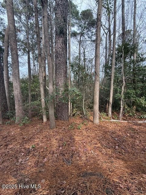 Tiny photo for 8 North Drive, Rocky Point, NC 28457 (MLS # 100544327)