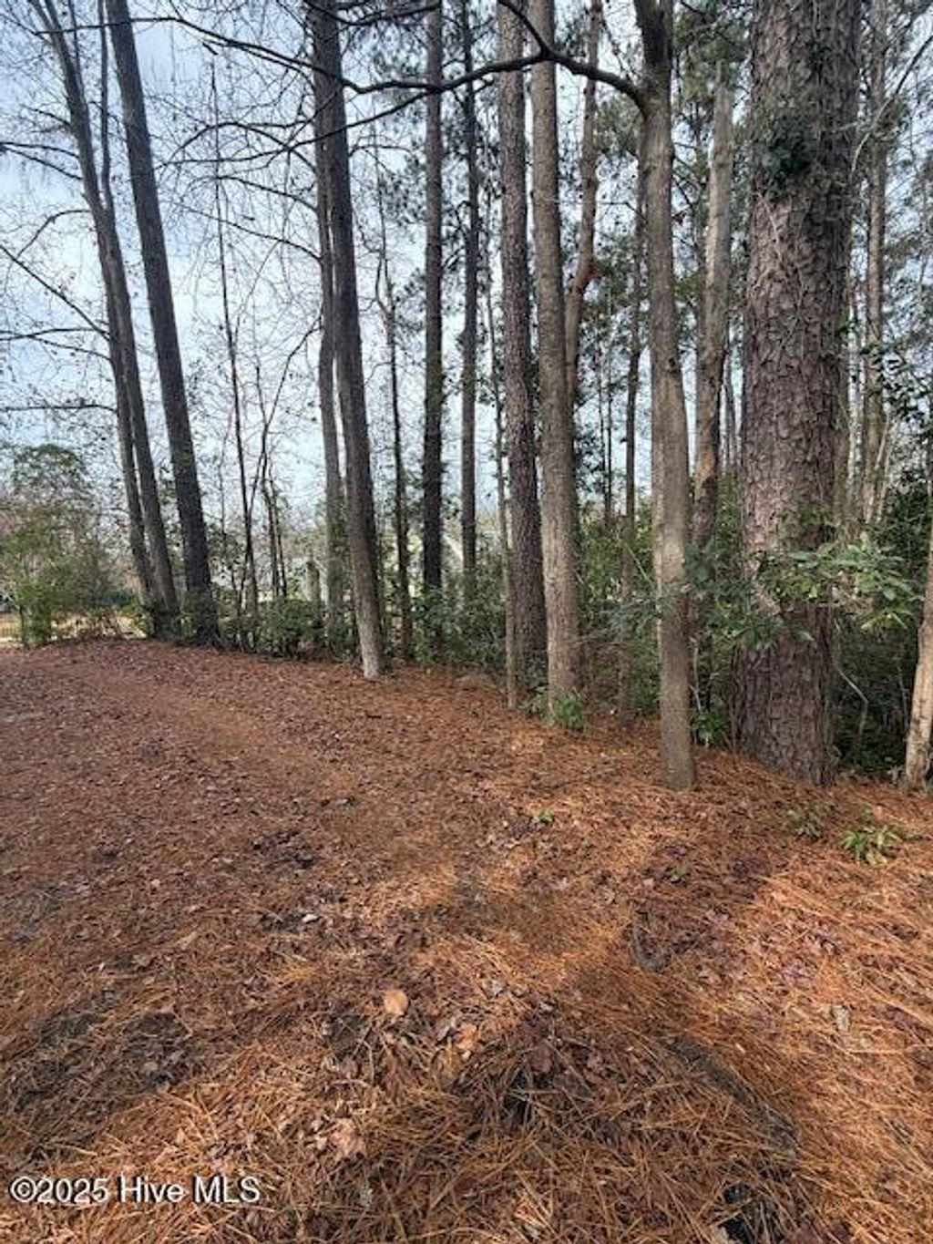 Photo of 8 North Drive, Rocky Point, NC 28457 (MLS # 100544327)