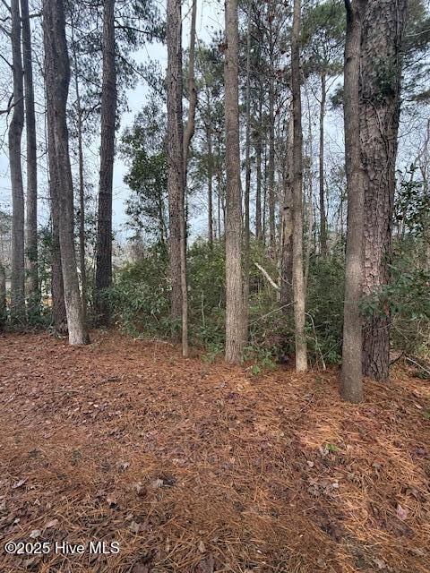 Tiny photo for 8 North Drive, Rocky Point, NC 28457 (MLS # 100544327)