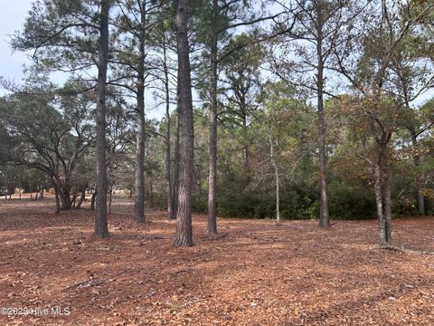 Tiny photo for 320 Blounts Bay Court SE, Bolivia, NC 28422 (MLS # 100547364)