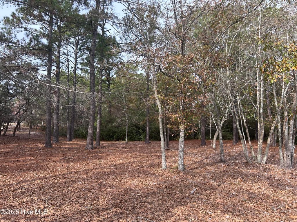 Photo of 320 Blounts Bay Court SE, Bolivia, NC 28422 (MLS # 100547364)