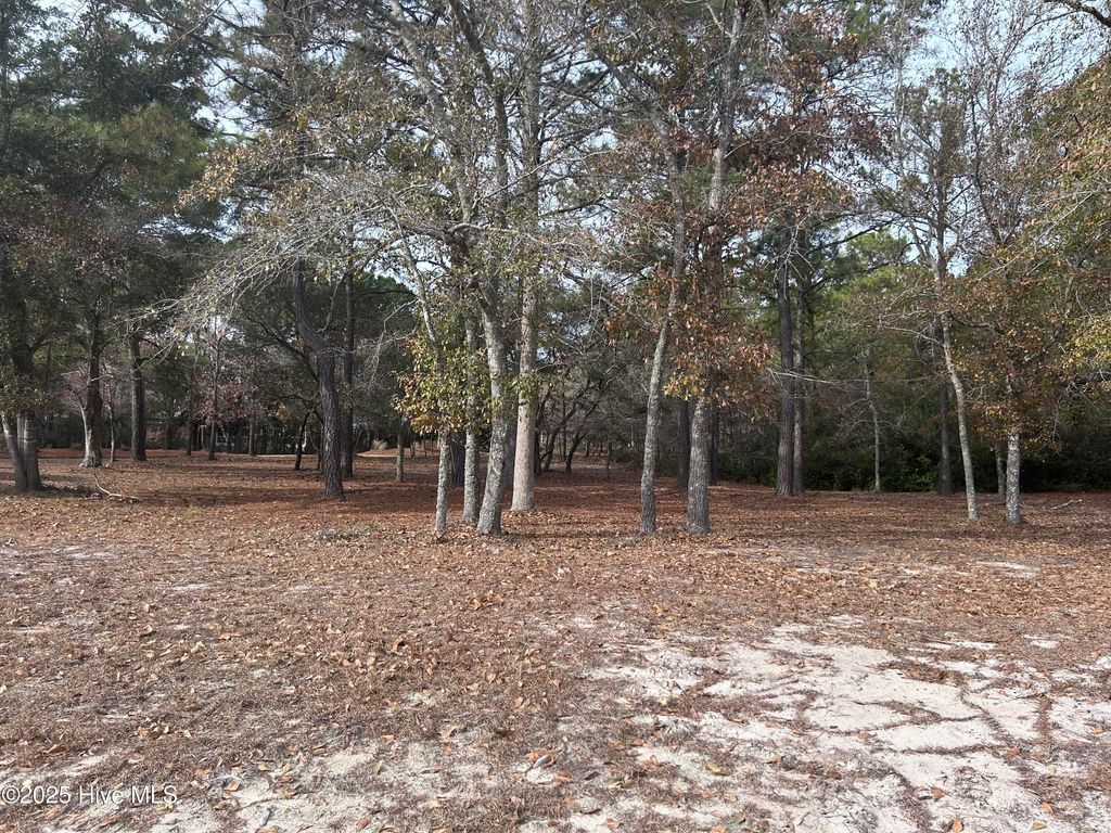Photo of 320 Blounts Bay Court SE, Bolivia, NC 28422 (MLS # 100547364)