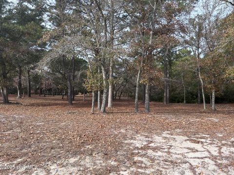 Photo of 320 Blounts Bay Court SE, Bolivia, NC 28422 (MLS # 100547364)