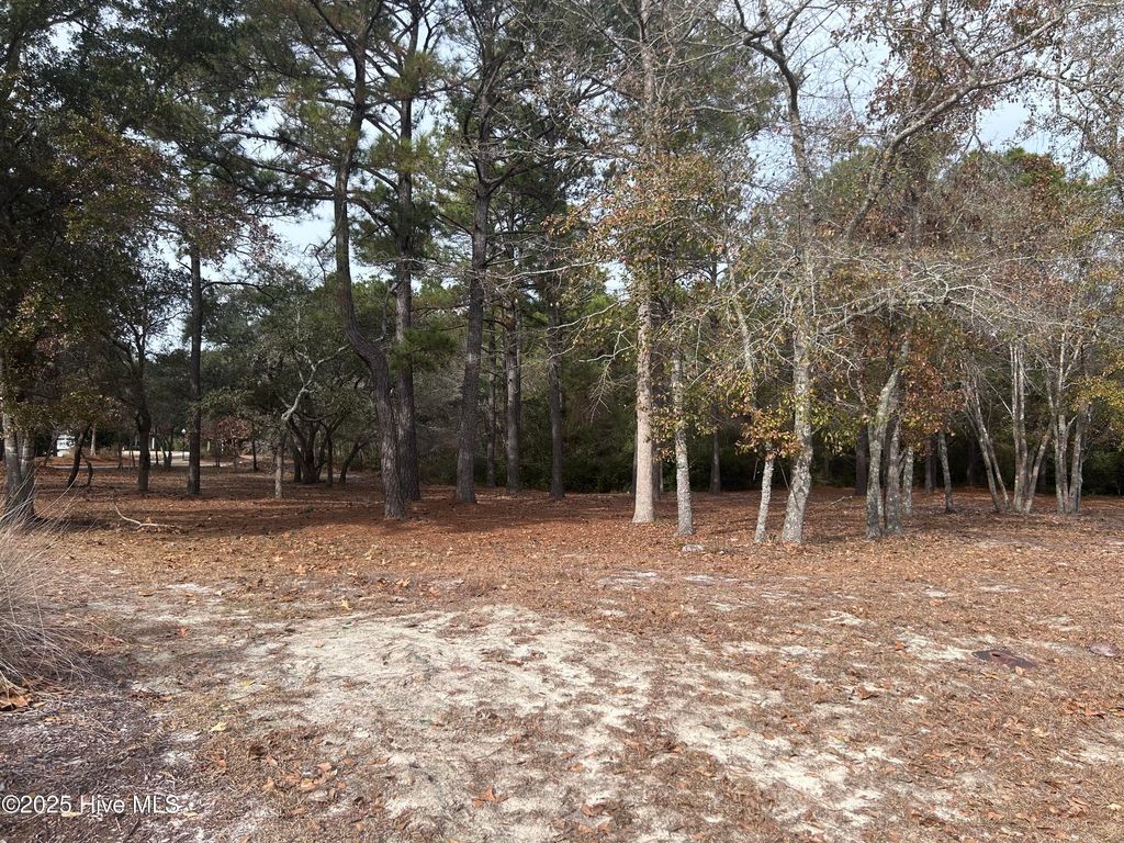 Photo of 320 Blounts Bay Court SE, Bolivia, NC 28422 (MLS # 100547364)