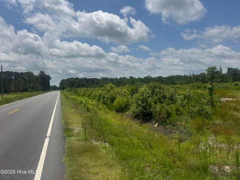 Vacant Land For Sale - Near 10769 Old 74<br/> Evergreen, NC 28438